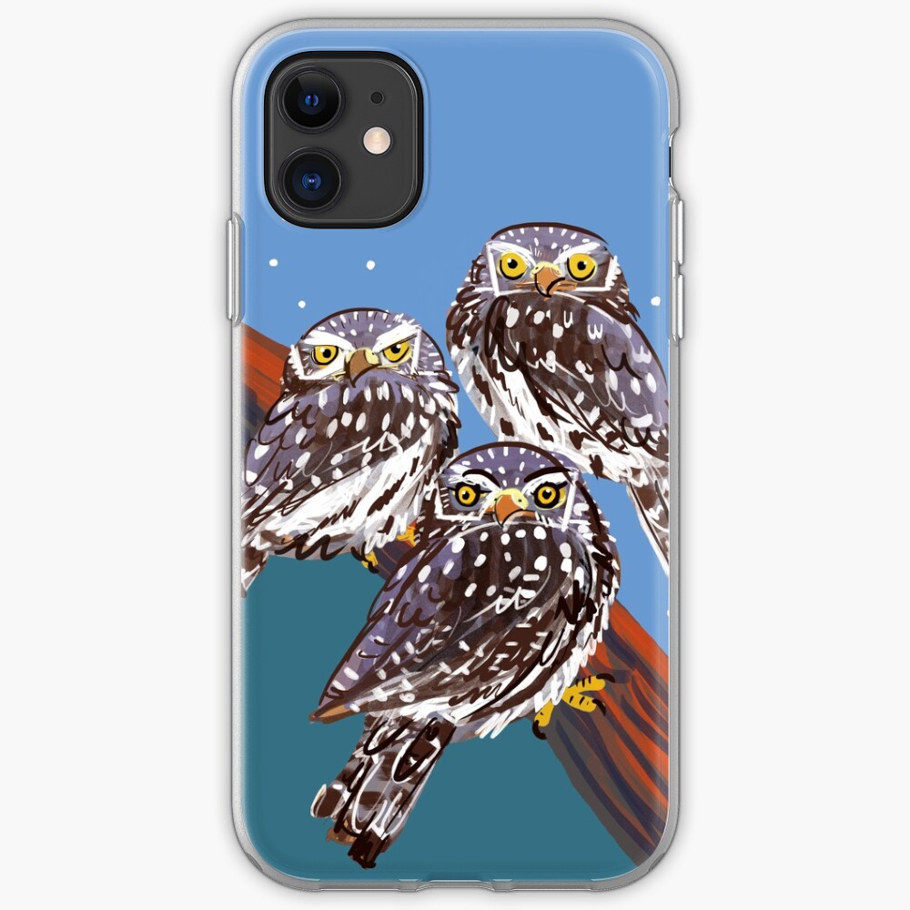 Northern Pygmy owl Funda y vinilo para iPhone