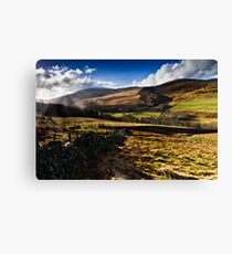 The Cheviot, Northumberland National Park. UK Canvas Print