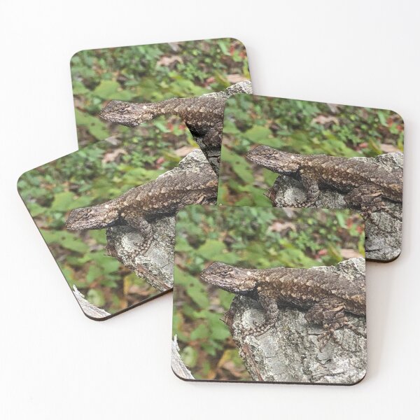 Item preview, Pine Lizard on a Log designed and sold by Twittlefish.