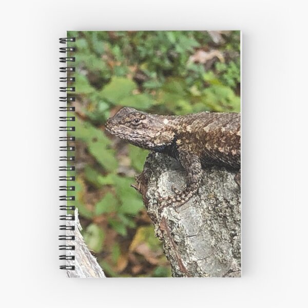 Item preview, Pine Lizard on a Log designed and sold by Twittlefish.
