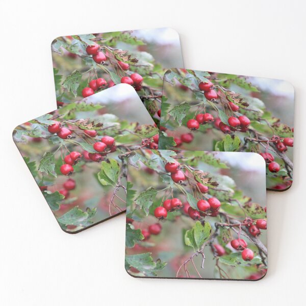 Item preview, Hawthorn Berries designed and sold by cuprum.