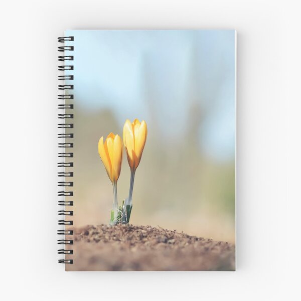 Item preview, Yellow crocus flowers from a lower angle designed and sold by macroviewpoint.
