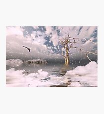 Dream State Photographic Print