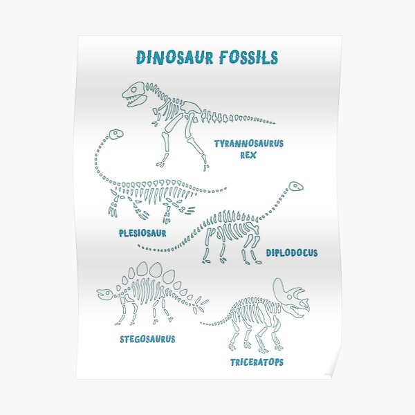 Dinosaur Fossils - aqua on white - Fun graphic pattern by Cecca Designs Poster