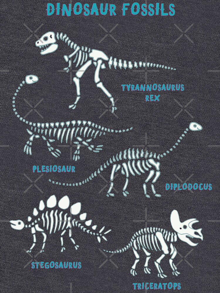 Dinosaur Fossils - aqua on white - Fun graphic pattern by Cecca Designs by Cecca-Designs