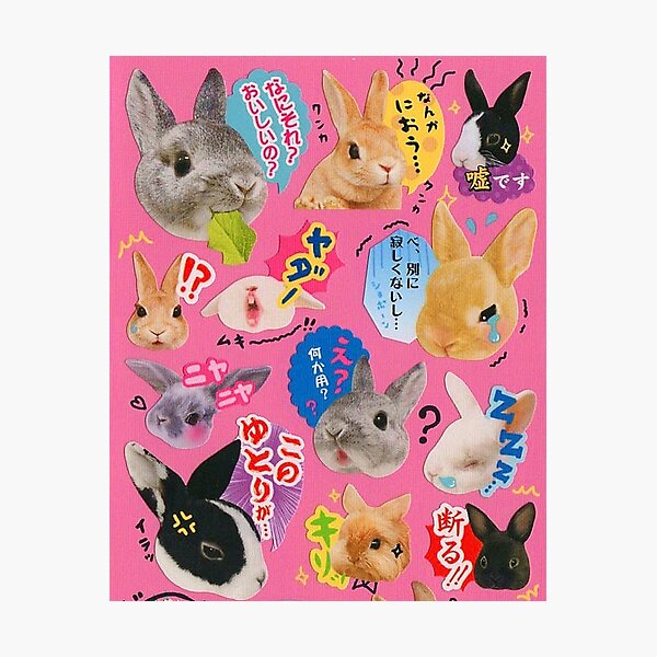 Cute Bunny Japanese reactions Photographic Print