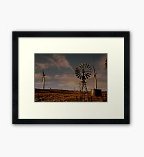 been here longer than you blokes!! Framed Print