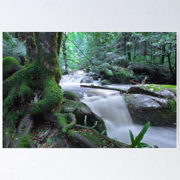 Item preview, Marysville - Steavenson fall designed and sold by Gavin Poh.