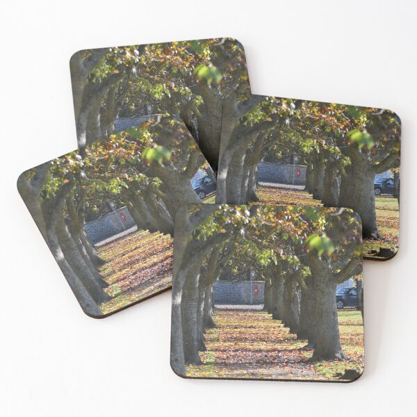 Item preview, Autumnal Avenue, Scotland designed and sold by photobymdavey.