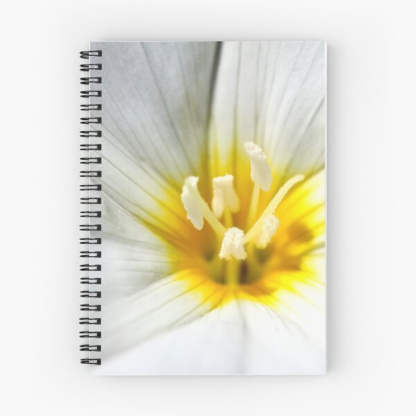 Item preview, Stamen designed and sold by NakedSunday.