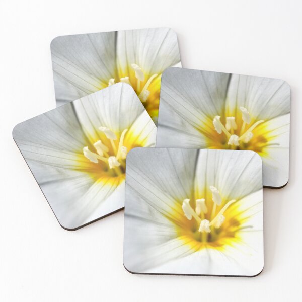 Item preview, Stamen designed and sold by NakedSunday.