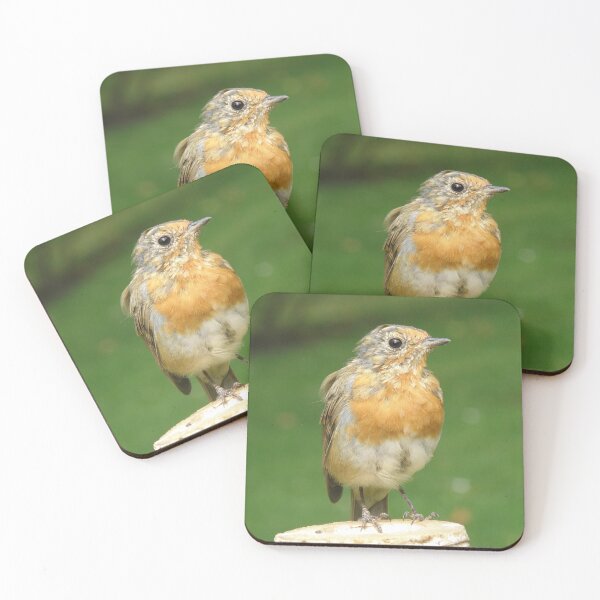 Item preview, Robin on a Log Photograph designed and sold by naturegallery.