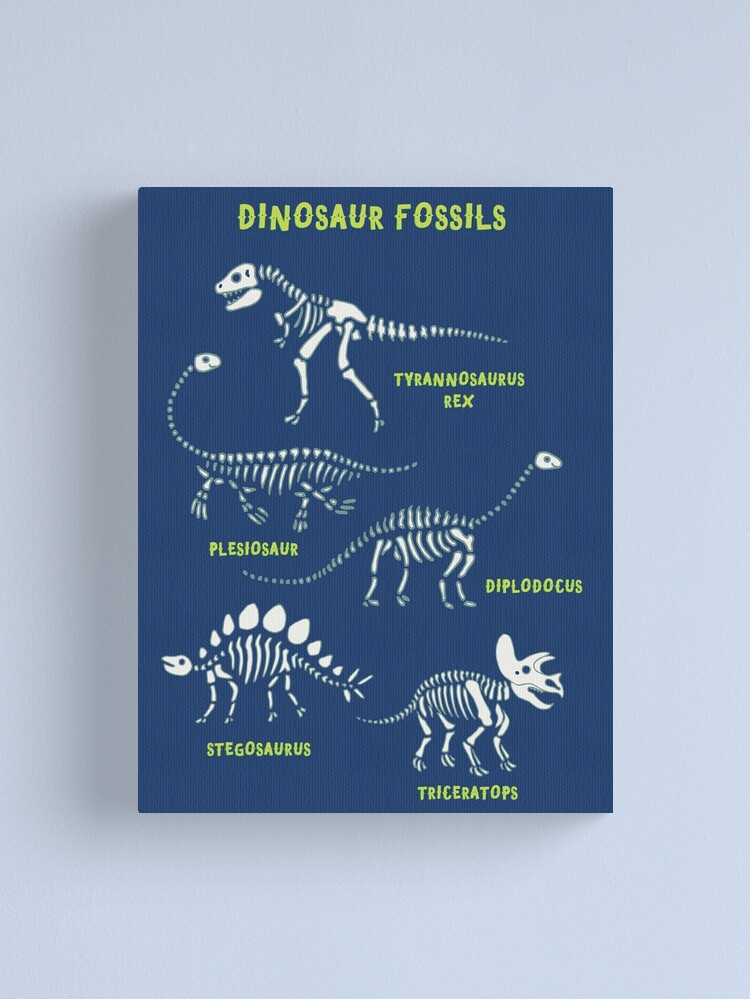 Alternate view of Dinosaur Fossils - Blue - Fun graphic pattern by Cecca Designs Canvas Print