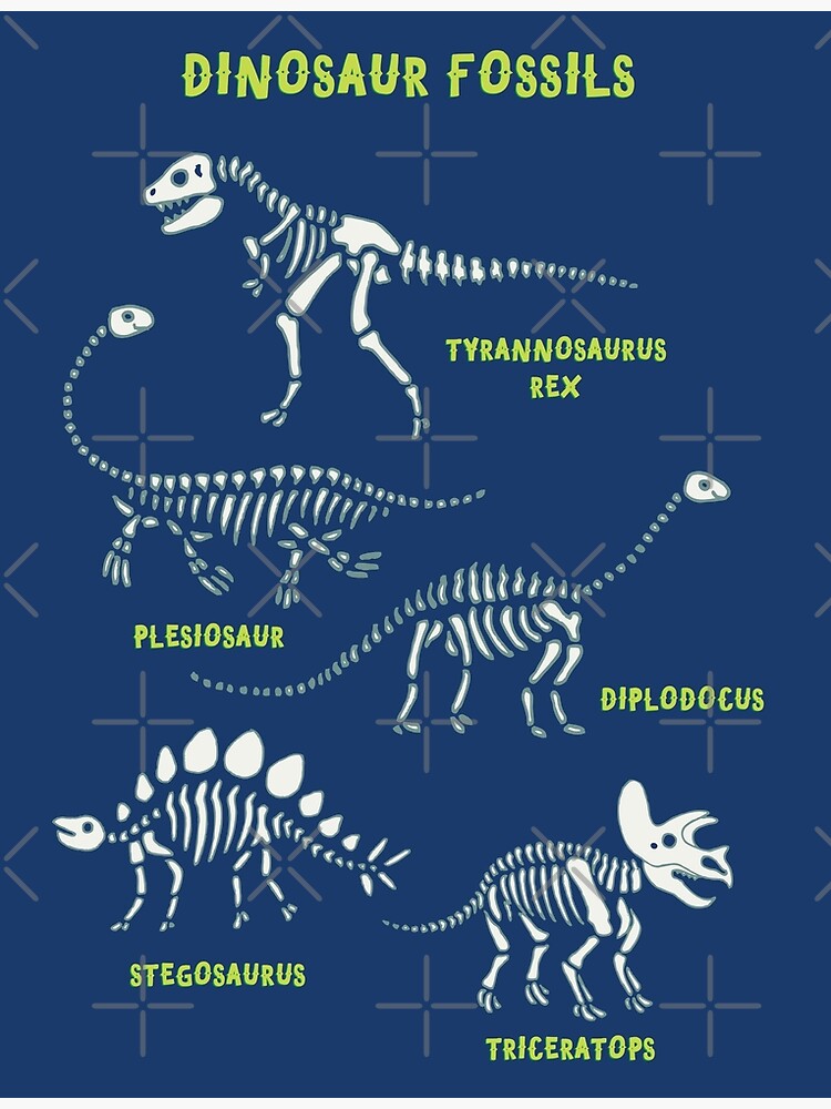 Dinosaur Fossils - Blue - Fun graphic pattern by Cecca Designs by Cecca-Designs
