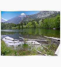 Shore of Lake Maskinonge Poster