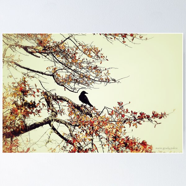 Item preview, Crow designed and sold by Marie Palcic.