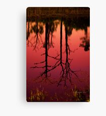 Ilona's Pond Canvas Print