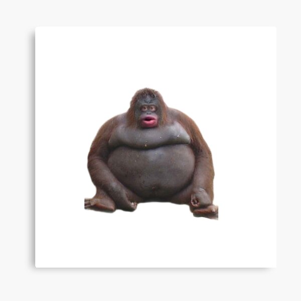 Uh Oh Stinky Canvas Prints Redbubble