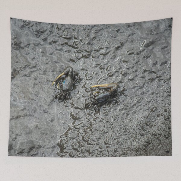 Item preview, Fiddler crab designed and sold by KensLensDesigns.