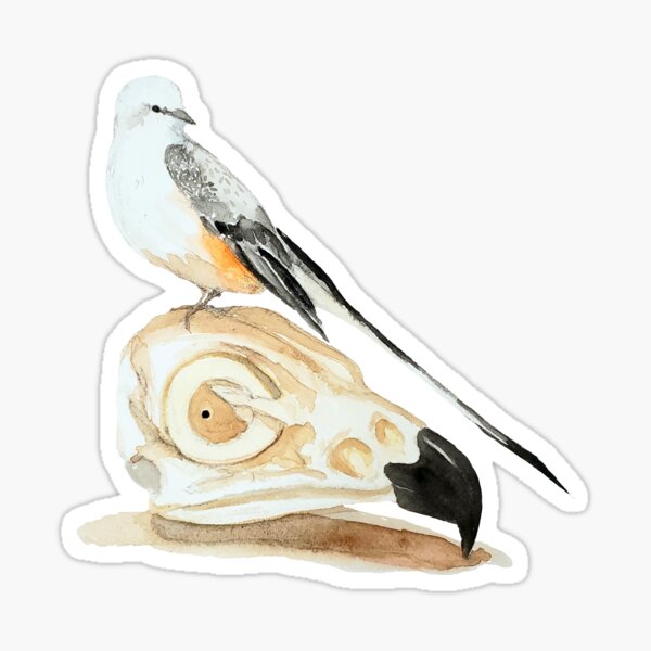 Bird of Pray Sticker