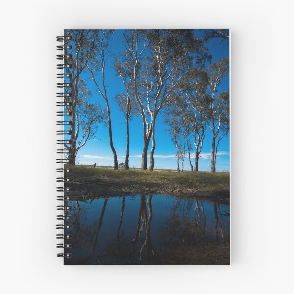 Item preview, Reflection designed and sold by Joshua Westendorf.