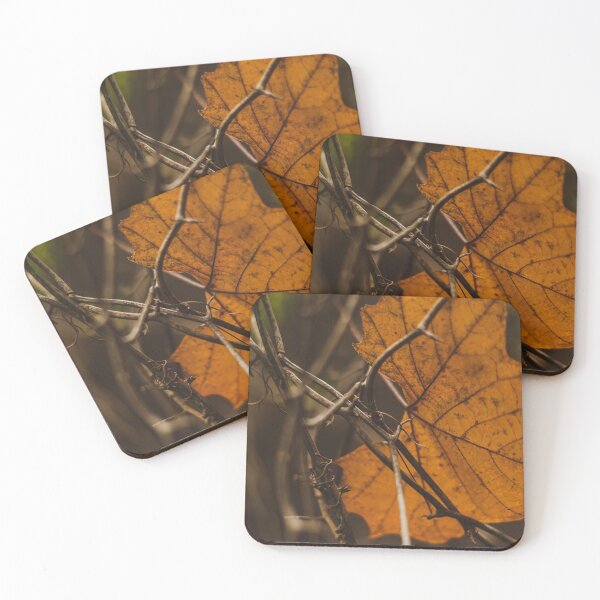 Item preview, Leaf 2-Close-up Nature Photo designed and sold by Anthonypresley.