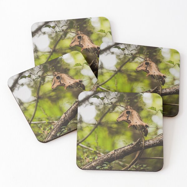 Item preview, Leaf 3-Close-up Nature Photo designed and sold by Anthonypresley.