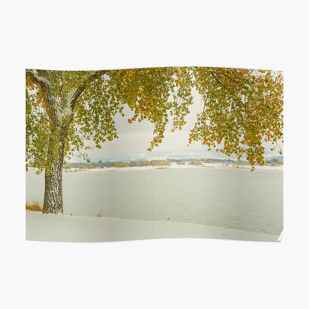Autumn Frosting Poster