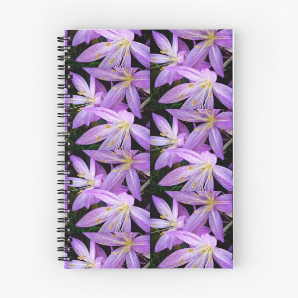 Item preview, Saffron Crocus Flowers Photography designed and sold by Heatherian.