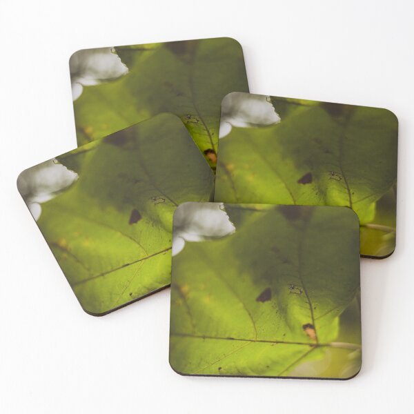 Item preview, Soft Focus Leaf-Close-up Nature Photo designed and sold by Anthonypresley.