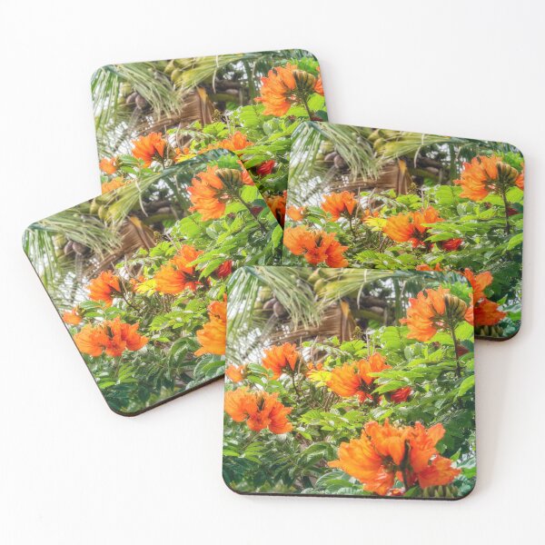 Item preview, The beautiful red flowers of the African Tulip Tree at Kuto Bay Beach designed and sold by Danielasphotos.
