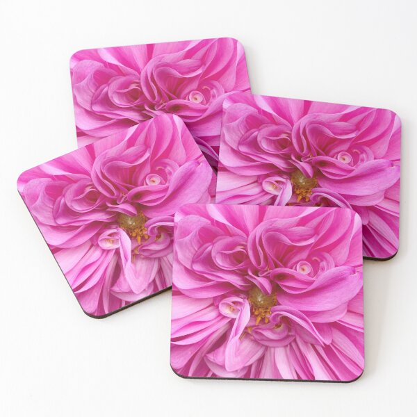 Curly Dahlia Coasters (Set of 4)