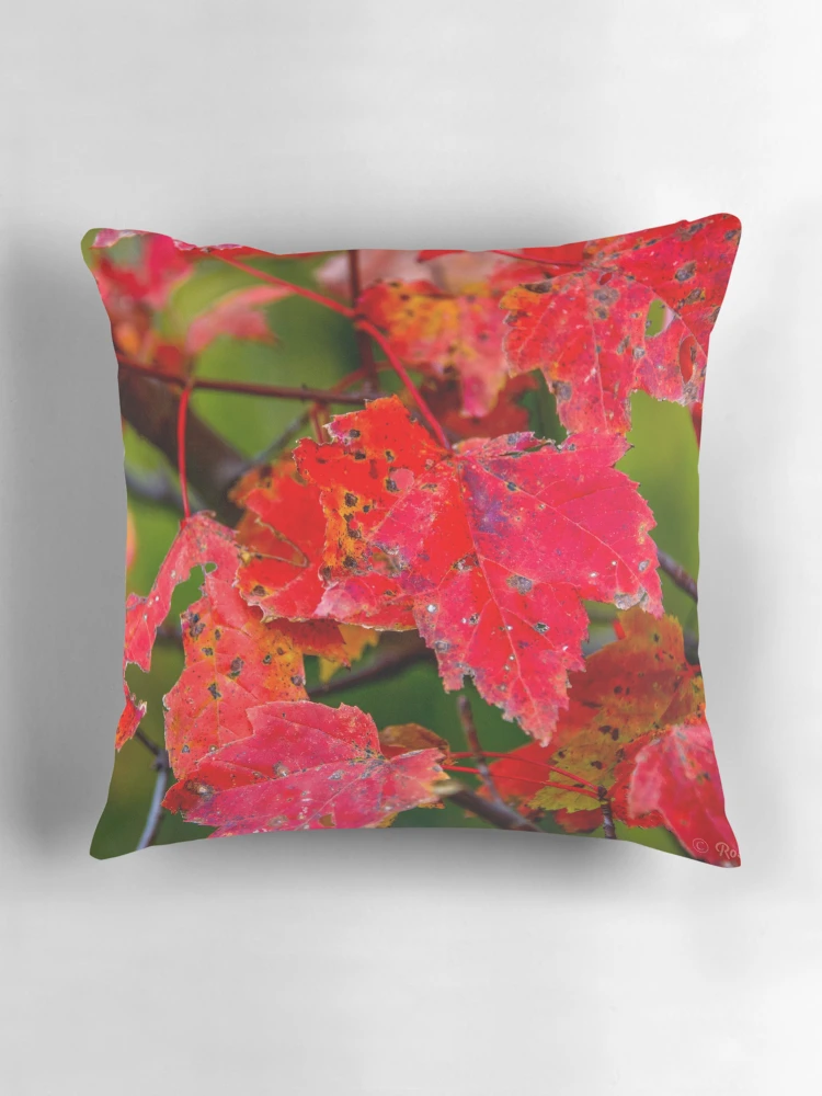 Thumbnail 3 of 4, Pillow, Falling Out designed and sold by Roselyn Shoko.