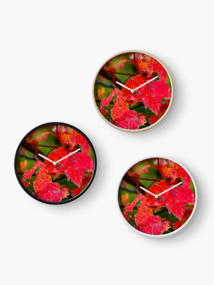 Imagen 3 de 4, Reloj con la obra Caiga, diseñada y vendida por Roselyn Shoko.