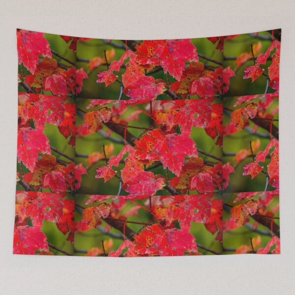 Item preview, Falling Out designed and sold by Roselyn Shoko.