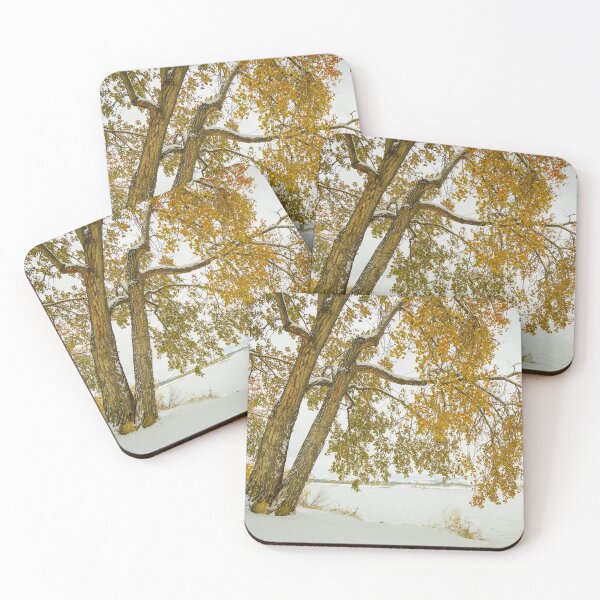 Item preview, Golden Snowy Cottonwood designed and sold by Bo Insogna.