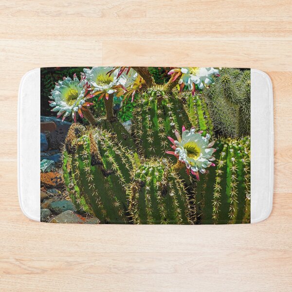 Item preview, Mini Barrel Cactus Blossoms, Las Cruces, NM designed and sold by William E Lopez.