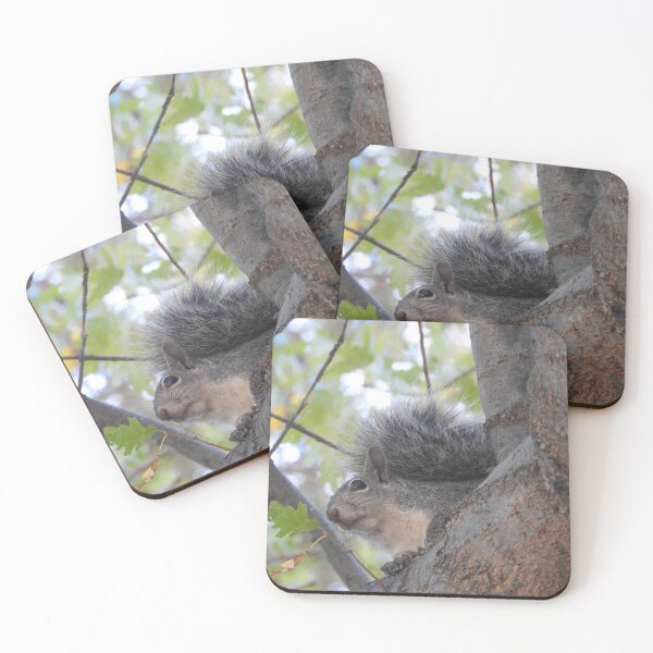 Item preview, Grey Squirrel, animals, wildlife, nature, gifts designed and sold by Sandra O'Toole.