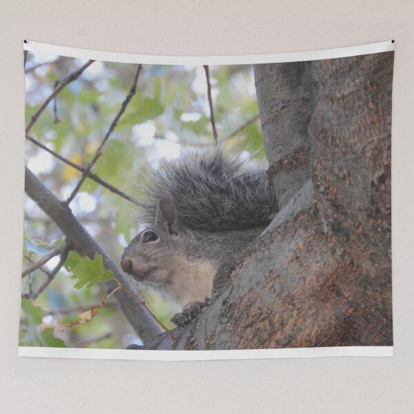 Item preview, Grey Squirrel, animals, wildlife, nature, gifts designed and sold by Sandra O'Toole.