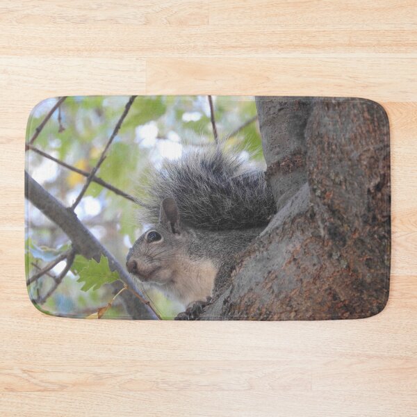 Item preview, Grey Squirrel, animals, wildlife, nature, gifts designed and sold by Sandra O'Toole.