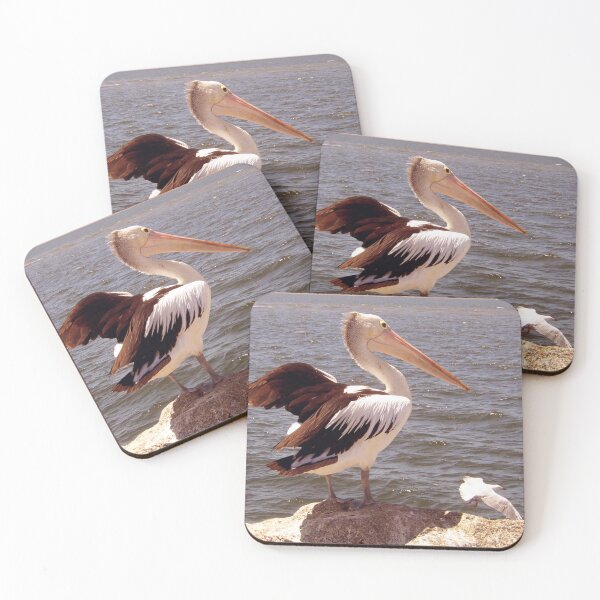 Item preview, Pelican and Seagull - ed01 designed and sold by Elisabeth Dubois.