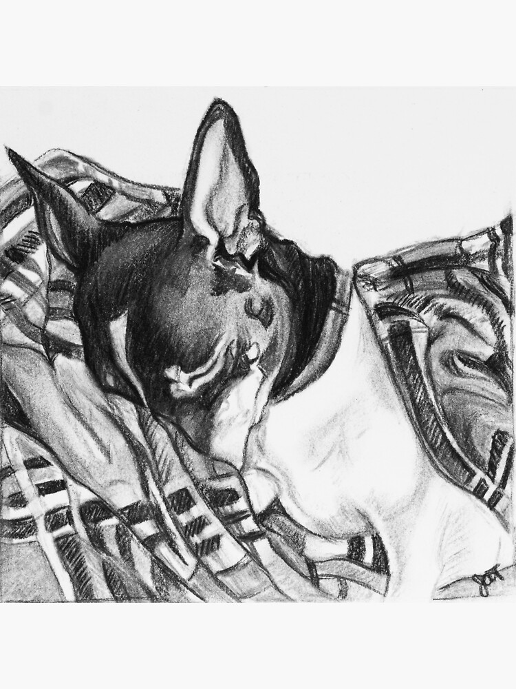 Cuaderno de espiral for Sale con la obra «Dibujo al carboncillo para perros  Russell Play Sketch» de Jessica Tomaino