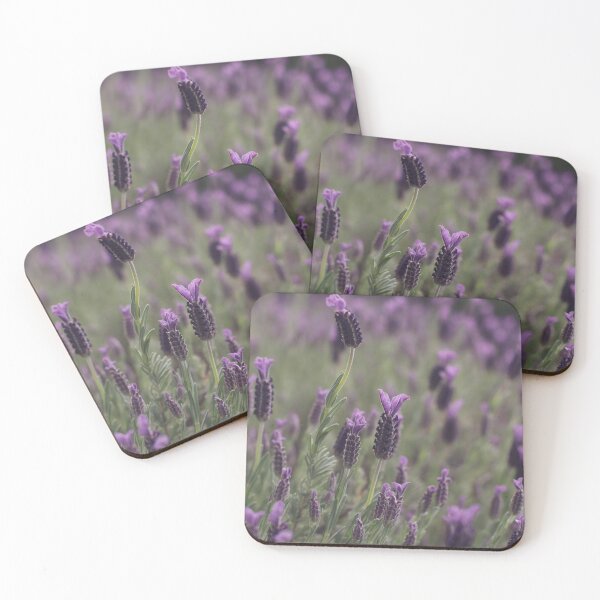 Item preview, Lavendar designed and sold by Curious-Camera.
