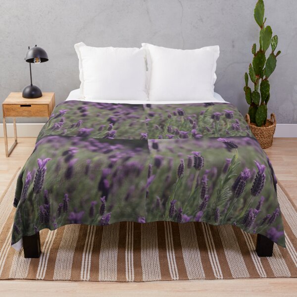 Item preview, Lavendar designed and sold by Curious-Camera.