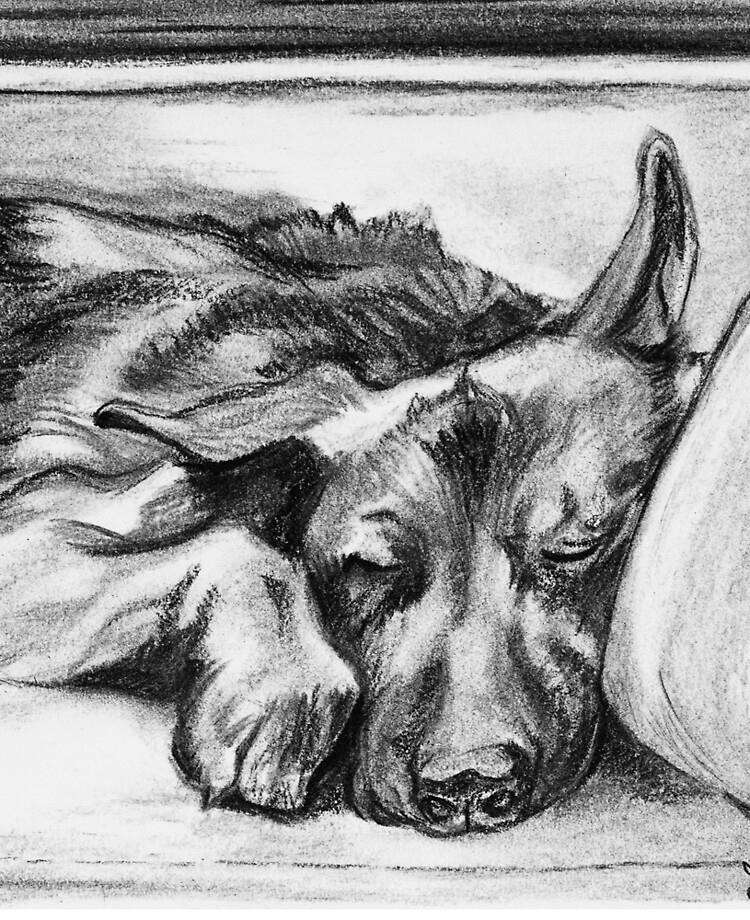 Cuaderno de espiral for Sale con la obra «Dibujo al carboncillo para perros  Russell Play Sketch» de Jessica Tomaino