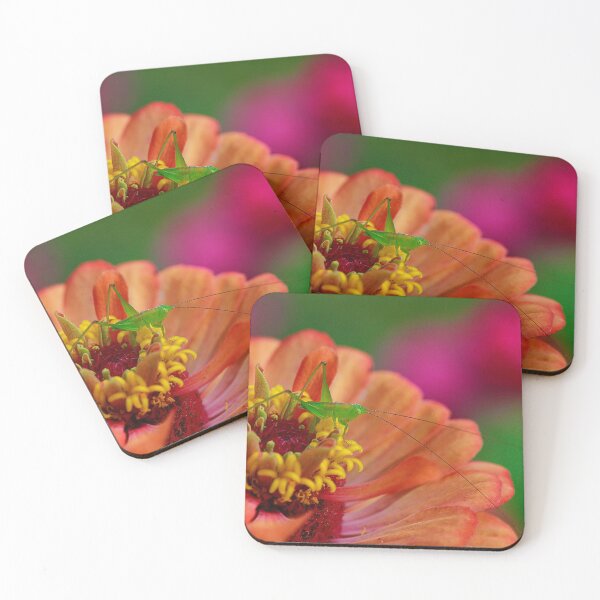 Item preview, Colors of the Rainbow designed and sold by Brenda Burnett.
