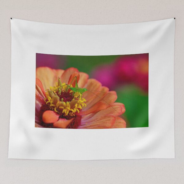 Item preview, Colors of the Rainbow designed and sold by Brenda Burnett.