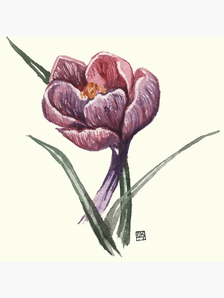 Thumbnail 3 of 3, Photographic Print, Saffron Bloom designed and sold by crafty-fox.