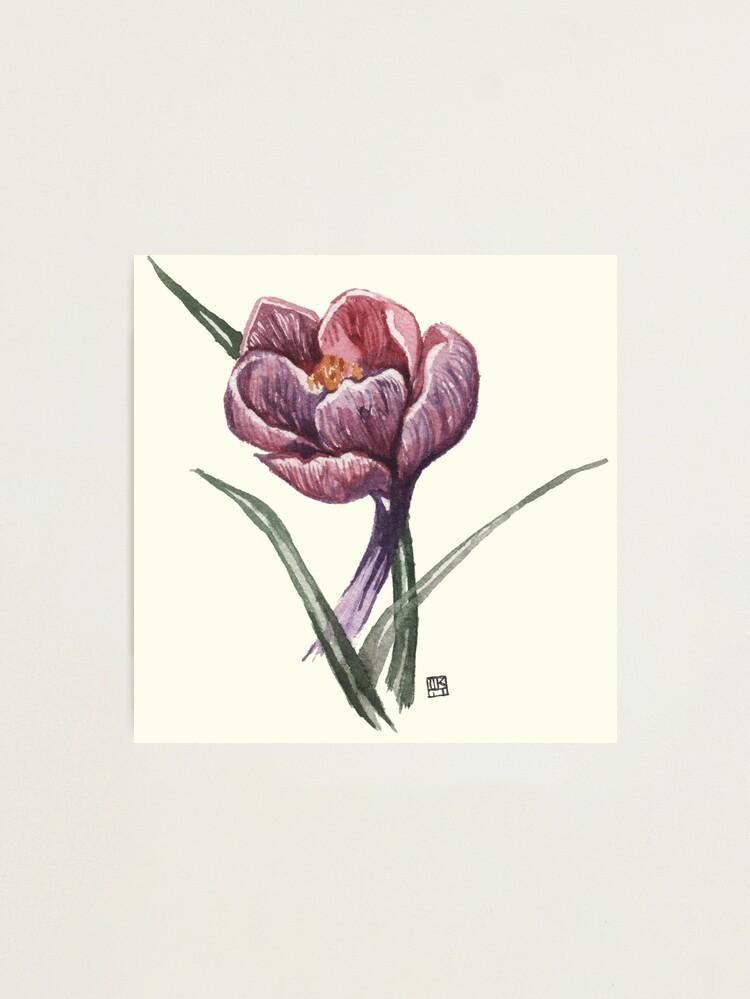 Thumbnail 2 of 3, Photographic Print, Saffron Bloom designed and sold by crafty-fox.