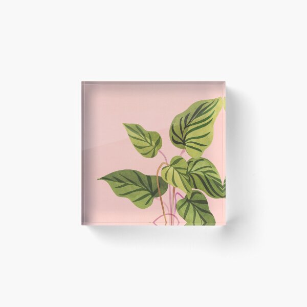 Tropical Rising Pink and Green Plant Acrylic Block